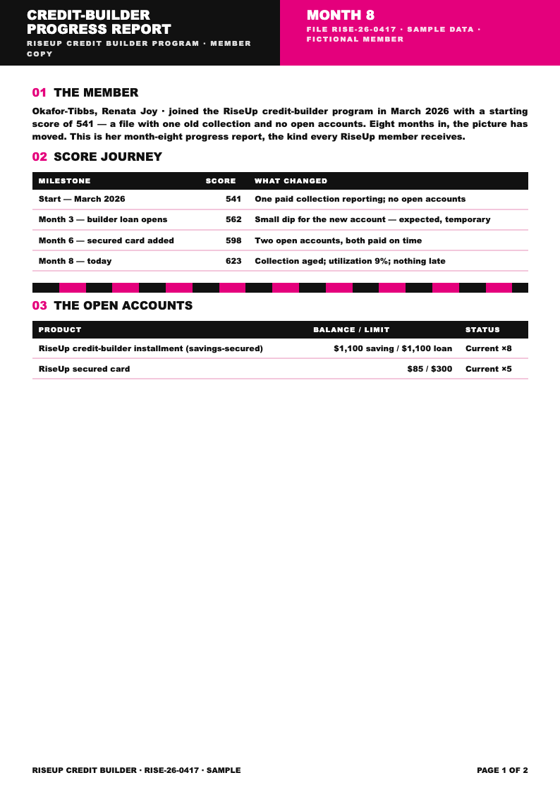 Duotone bold credit report